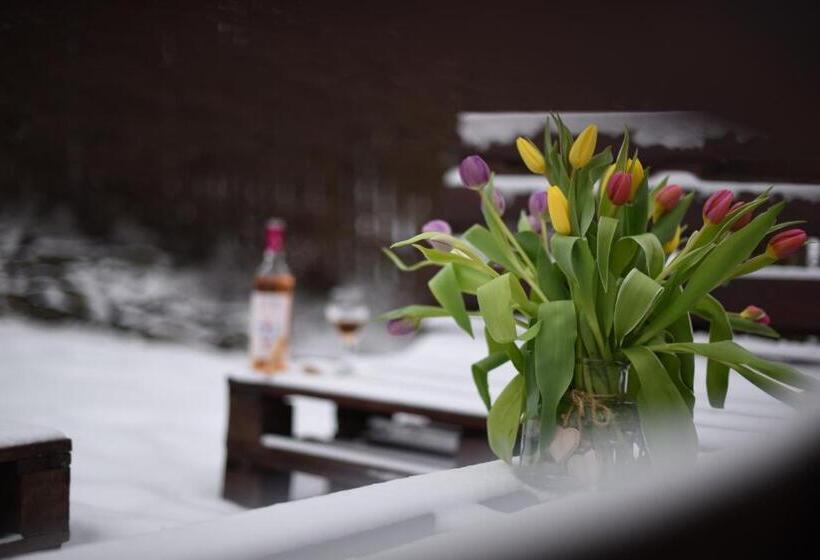 민박 Horizont Panzio