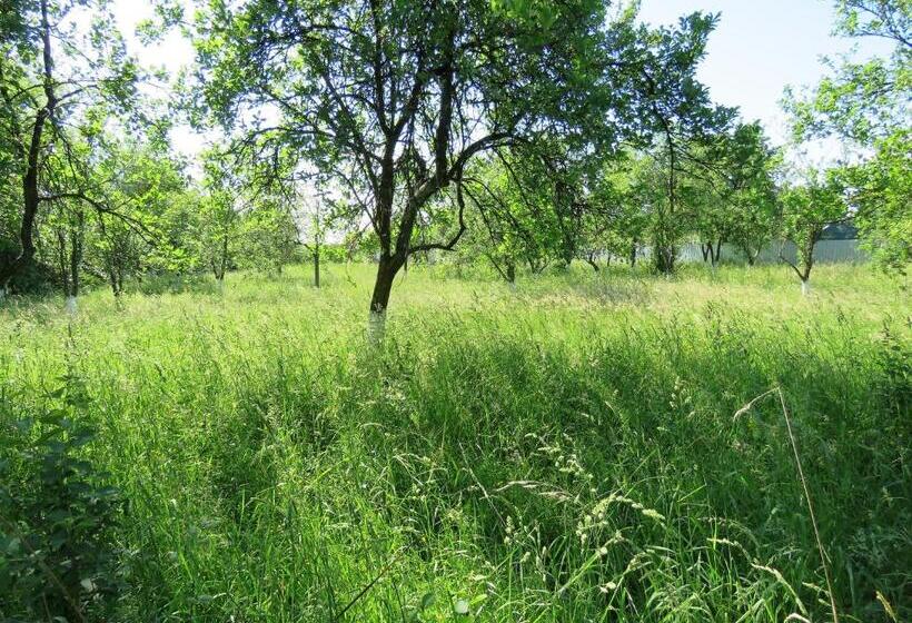 تختخواب و صبحانه Kolpinghaus