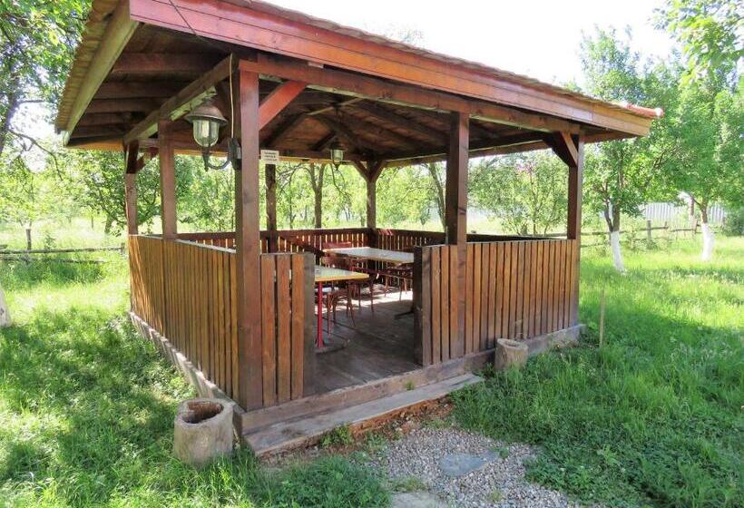 تختخواب و صبحانه Kolpinghaus