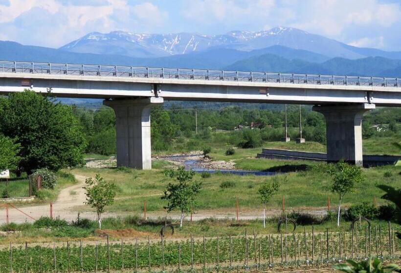 تختخواب و صبحانه Kolpinghaus