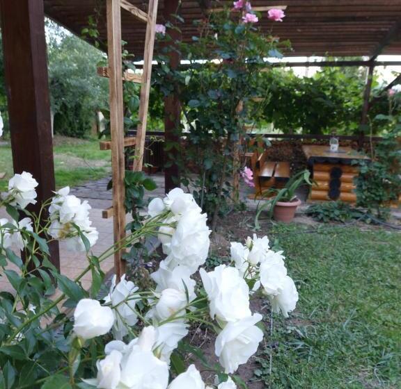 تختخواب و صبحانه Kolpinghaus