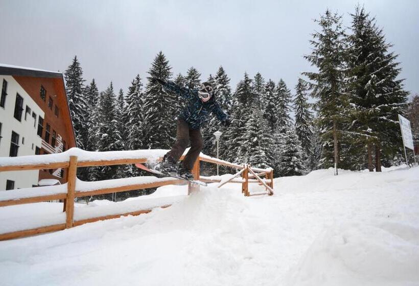 تختخواب و صبحانه Mountain Rest Pension