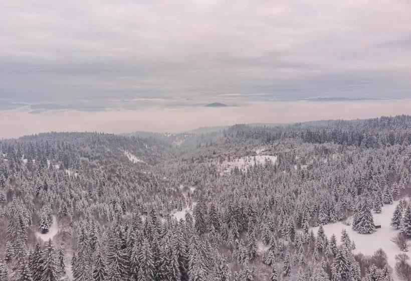 تختخواب و صبحانه Mountain Rest Pension