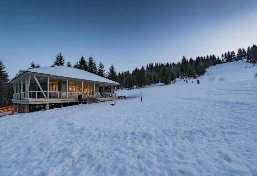 تختخواب و صبحانه Mountain Rest Pension