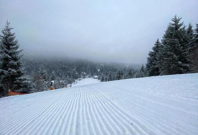 تختخواب و صبحانه Mountain Rest Pension