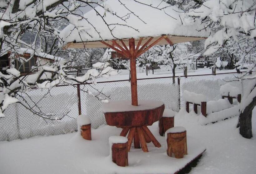 تختخواب و صبحانه Pensiunea Luminita