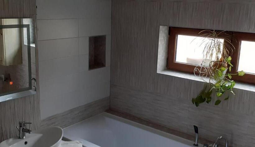 צימר Pensiunea Moldovan