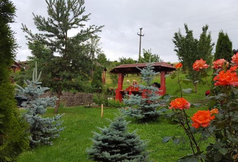 צימר Pensiunea Moldovan