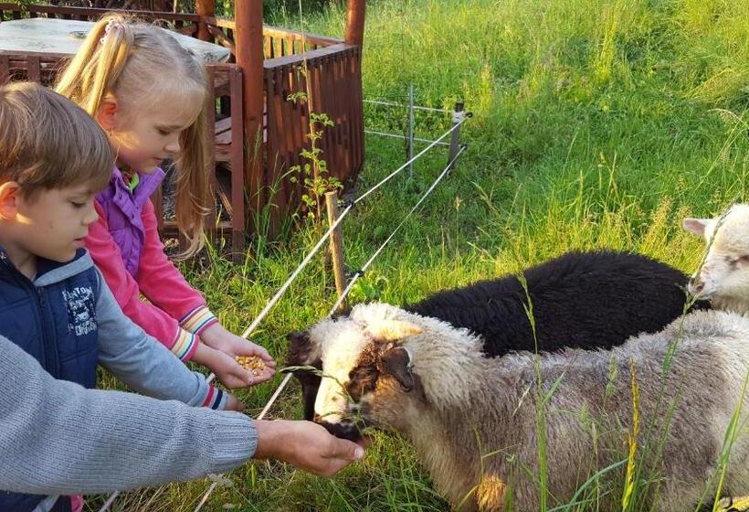 צימר Pensiunea Moldovan