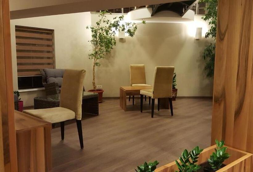 בית מלון כפרי Miruna   New Belvedere