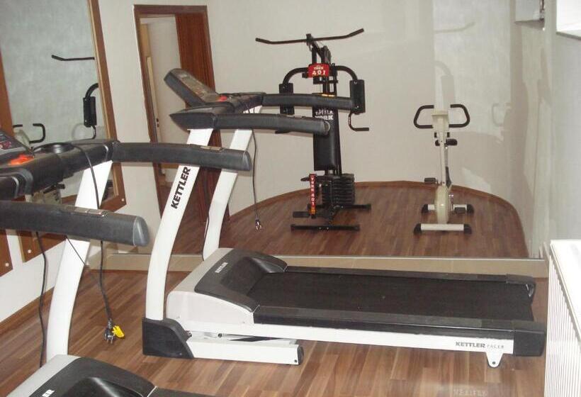 בית מלון כפרי Miruna   New Belvedere