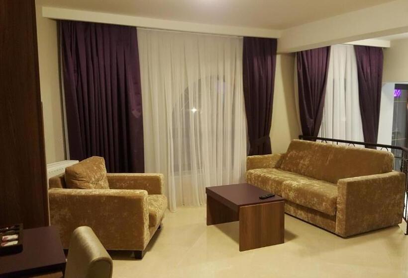 בית מלון כפרי Miruna   New Belvedere