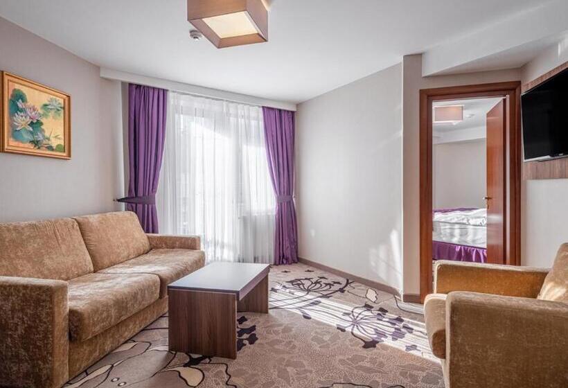 בית מלון כפרי Miruna   New Belvedere