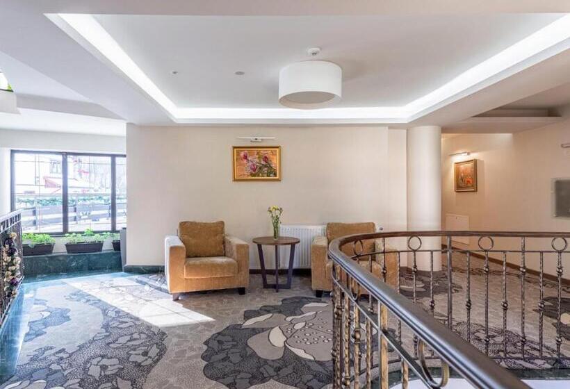 בית מלון כפרי Miruna   New Belvedere