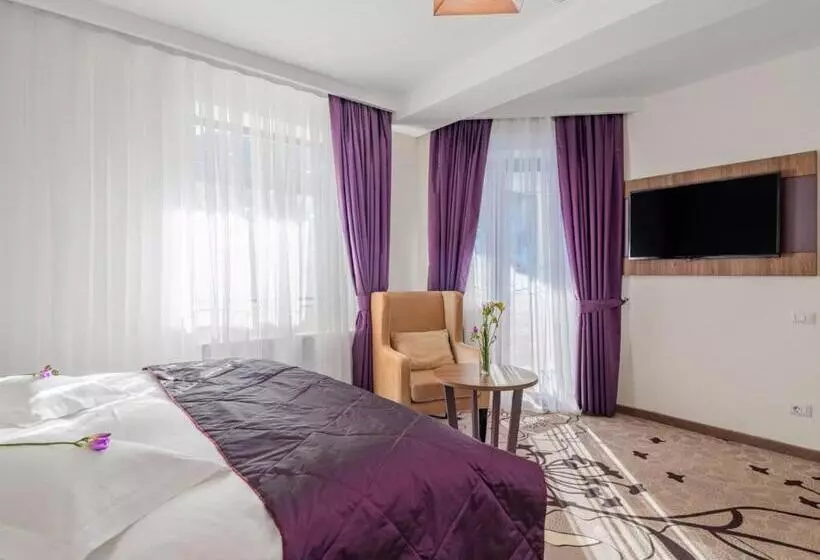 Hotel Miruna New Belvedere