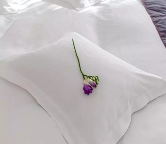 Hotel Miruna New Belvedere