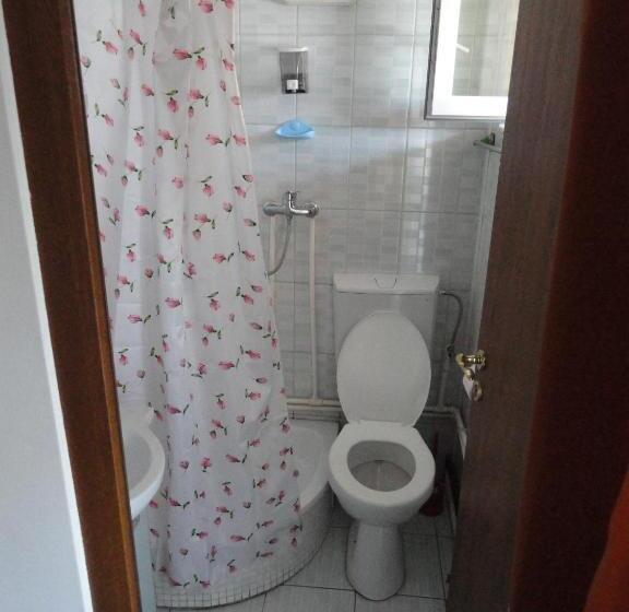 호텔 Pensiune Restaurant Avangarde