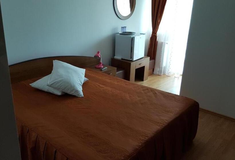 호텔 Pensiune Restaurant Avangarde