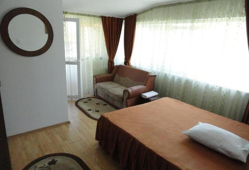 호텔 Pensiune Restaurant Avangarde