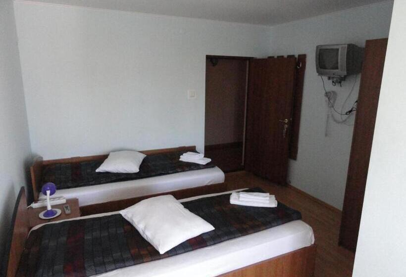 호텔 Pensiune Restaurant Avangarde