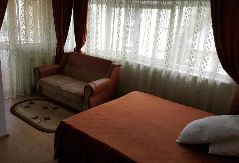 호텔 Pensiune Restaurant Avangarde