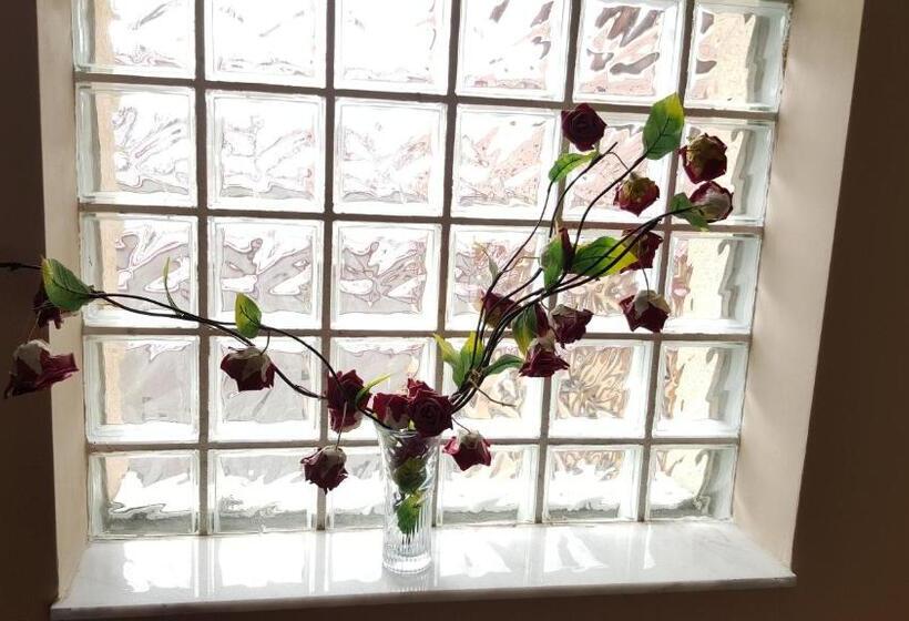 호텔 Pensiune Restaurant Avangarde