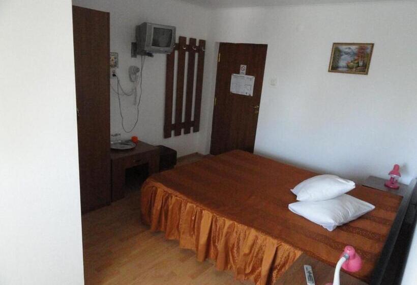 호텔 Pensiune Restaurant Avangarde