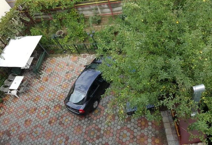 호텔 Pensiune Restaurant Avangarde