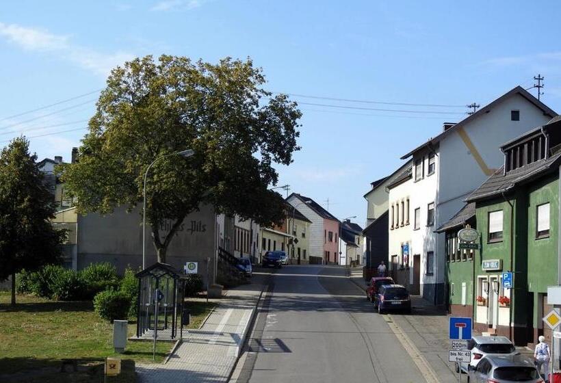 Отель Triebener Hof