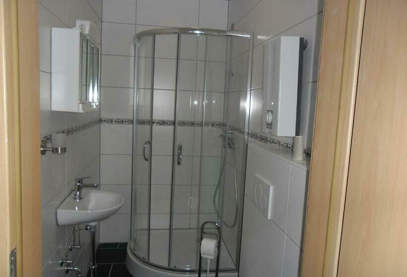 Отель Triebener Hof