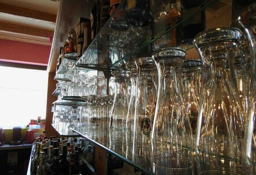 Отель Triebener Hof