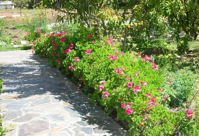 هتل La Quinta Eco