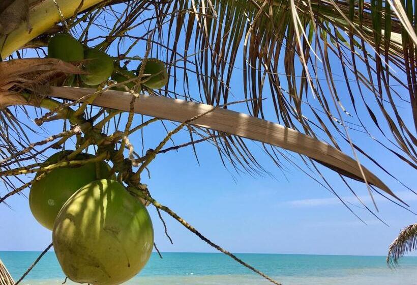 Hotel Casa Playa Zorritos