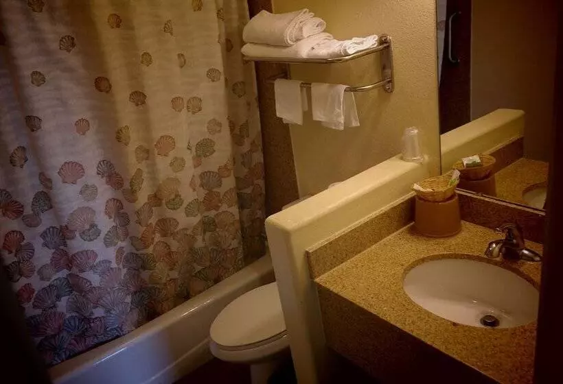 ホテル Chandler Inn
