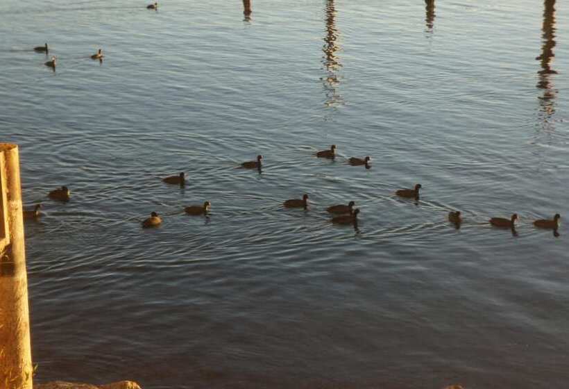 ホテル Lake Marina Inn