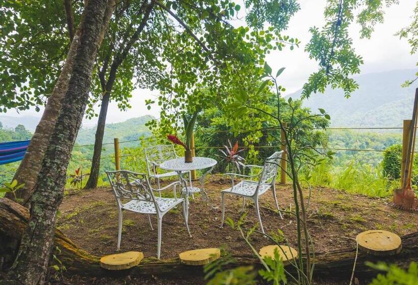 Hôtel Minca Ecohabs