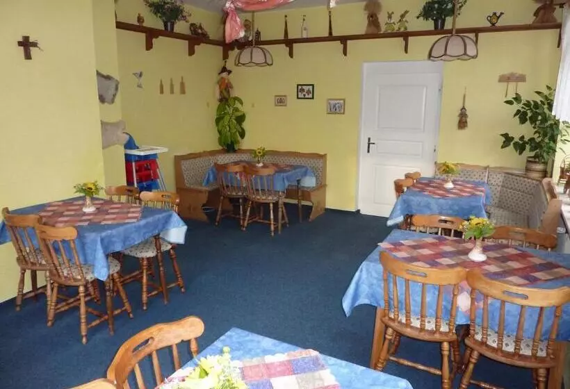 Hotelli Pension Borůvka