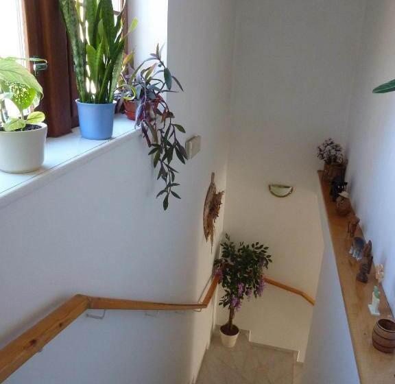 בית מלון כפרי Pension Borůvka