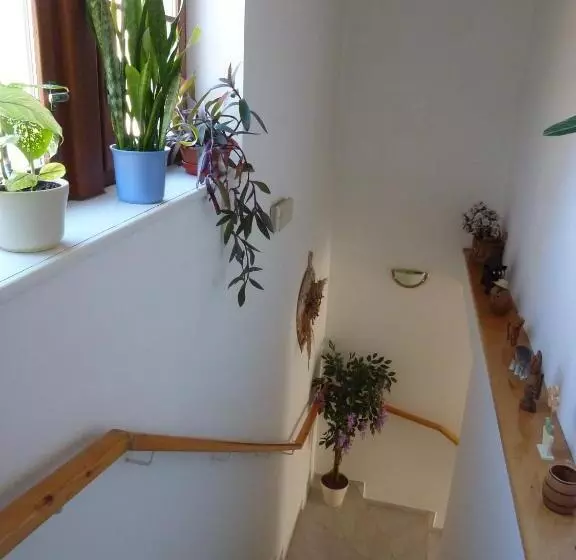 Hotelli Pension Borůvka