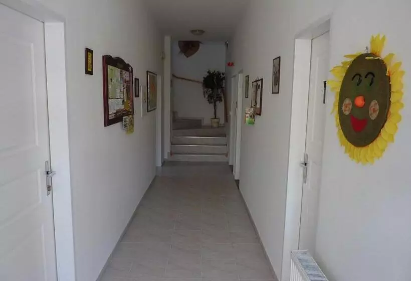 Hotelli Pension Borůvka