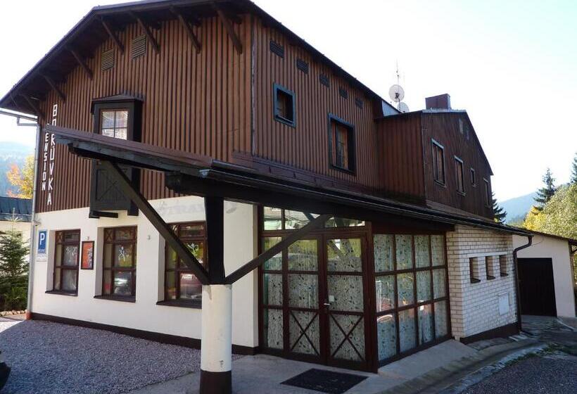 בית מלון כפרי Pension Borůvka