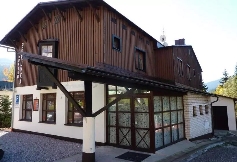 Hotelli Pension Borůvka
