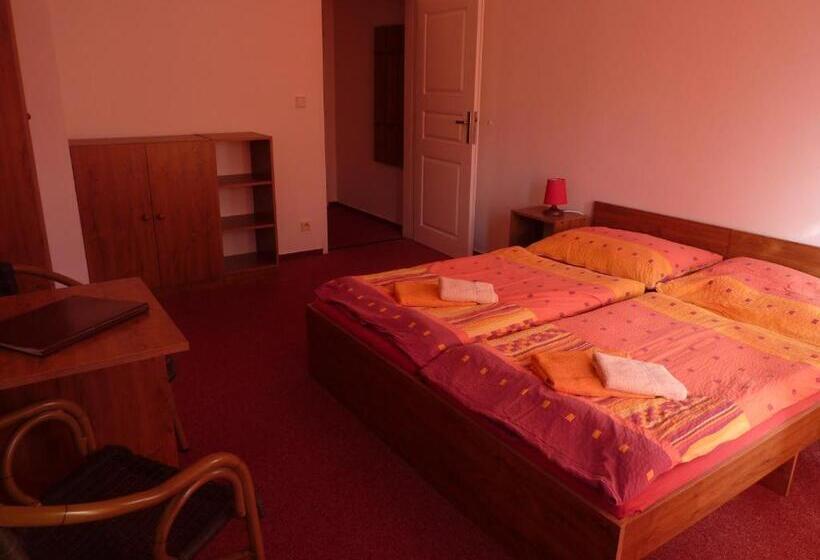 בית מלון כפרי Pension Borůvka