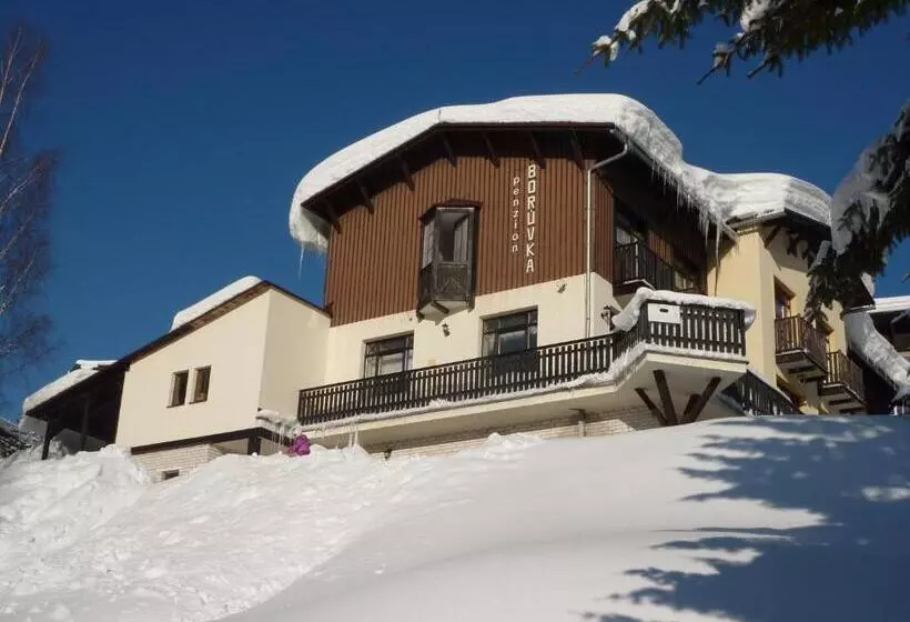 Hotelli Pension Borůvka