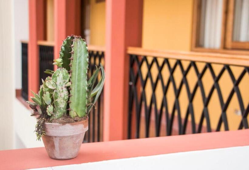 בית מלון כפרי Suiza Peruana