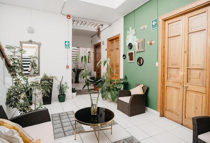 فندق صغير Maison Verte   Guest House