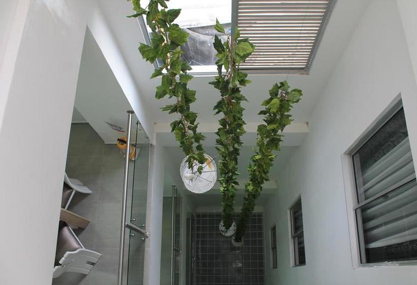 Hotel Guadalupe Plaza