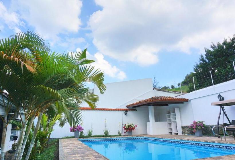 Fotos del hotel Urban Hotel Boutique:  3