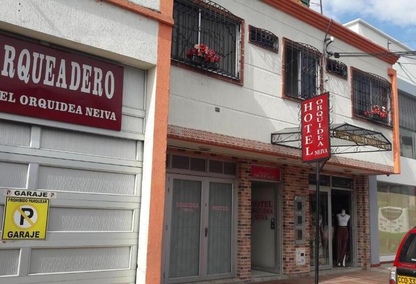 旅馆 Orquídea Neiva