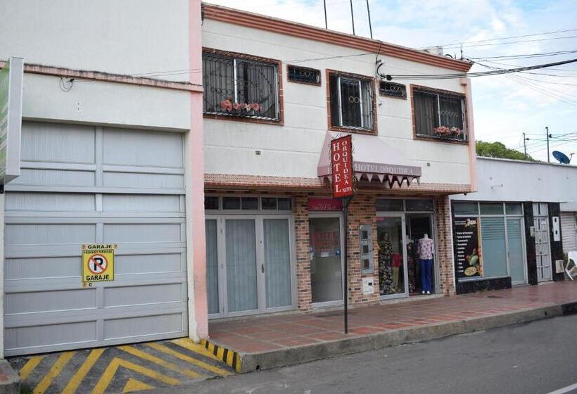 旅馆 Orquídea Neiva